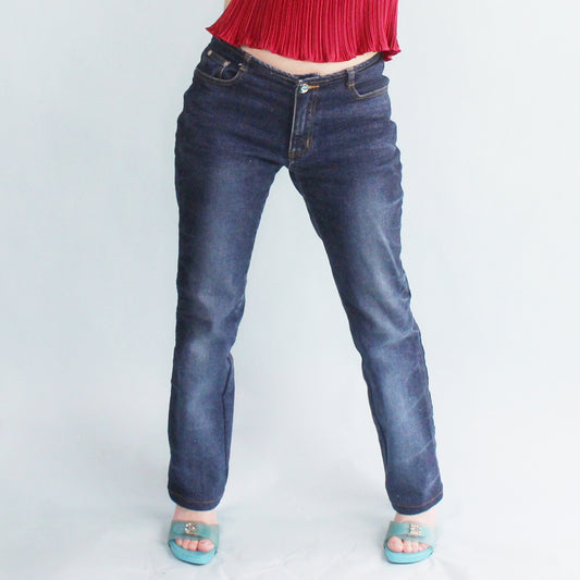 Vintage Y2k Low Rise Glitter Jeans by Zana Di